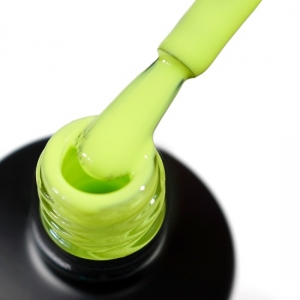 GEL POLISH 333 - 6ML